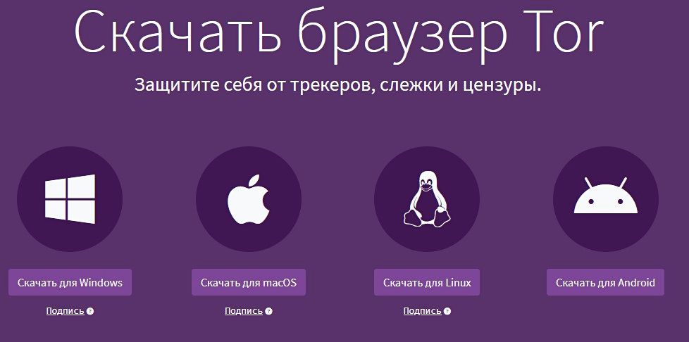 Tor Browserи все версии и загрузка с официального сайта